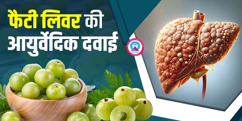यूरिन-में-प्रोटीन-आने-का-आयुर्वेदिक-उपचार